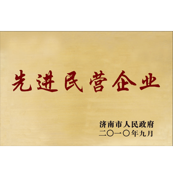 先進(jìn)民營(yíng)企業(yè)